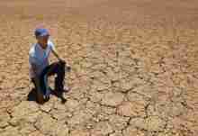 非洲南部干旱到什么地步？主粮耗尽1100万人将没饭吃